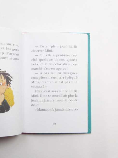 hachette - Boekje (116)