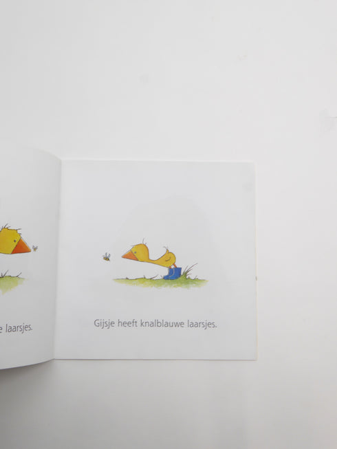 BIG BALLOON - Boekje (92)