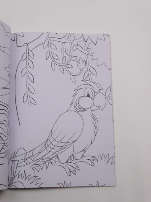 FSC - BOOK COLOURING (98)