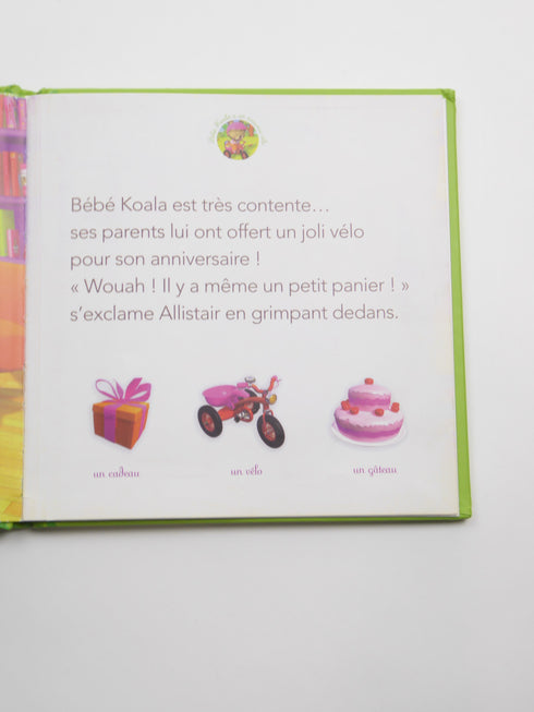 hachette - Boekje (92)