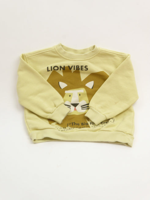 Zara - Sweater (92)
