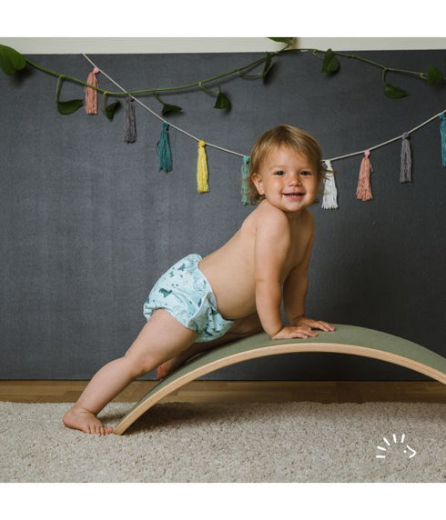 Vento (snaps) - Dino
- S (3-6 kg)